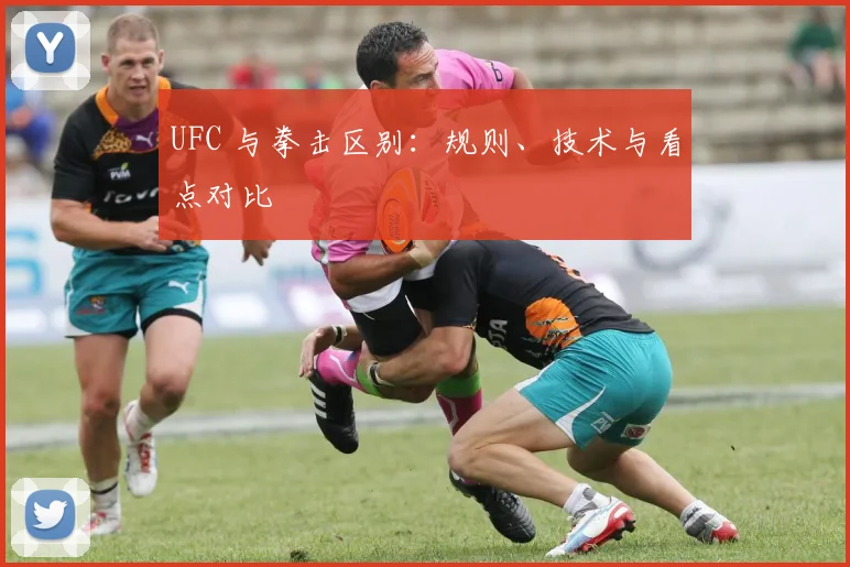 UFC 与拳击区别：规则、技术与看点对比