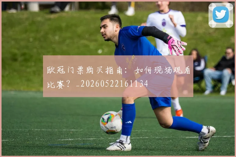欧冠门票购买指南:如何现场观看比赛?_20260522161134