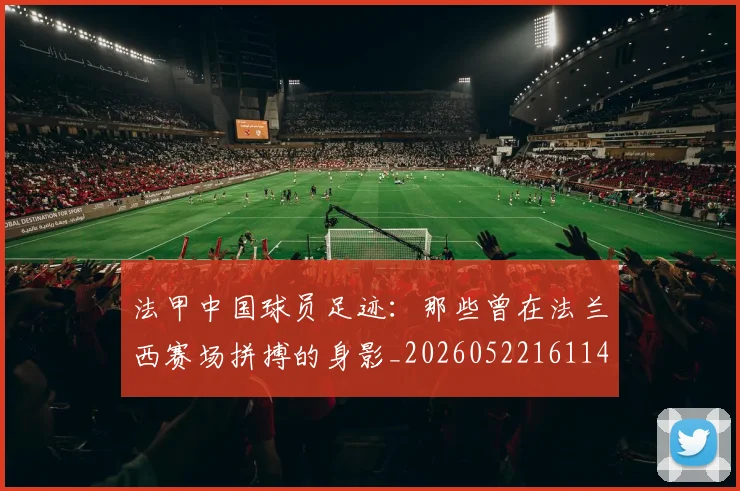 法甲中国球员足迹:那些曾在法兰西赛场拼搏的身影_20260522161146