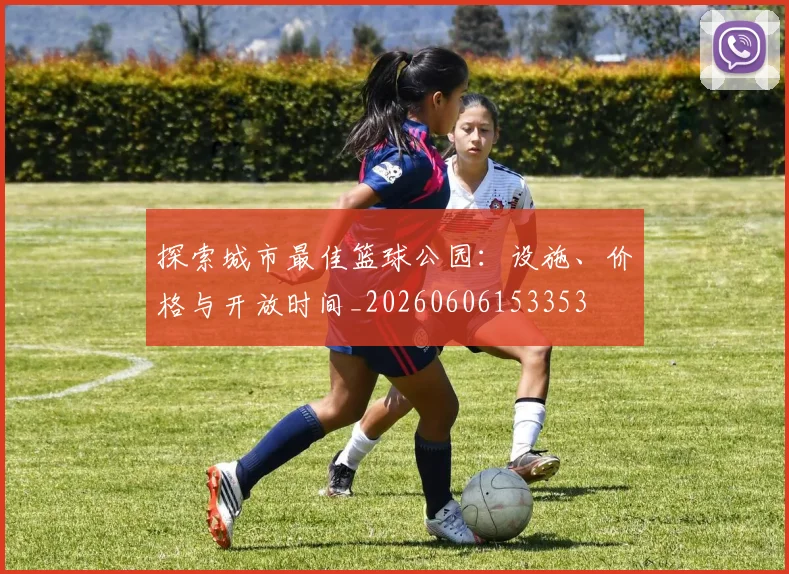 探索城市最佳篮球公园：设施、价格与开放时间_20260606153353